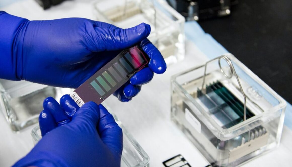 national-cancer-institute-W6yy0wYV-hk-unsplash