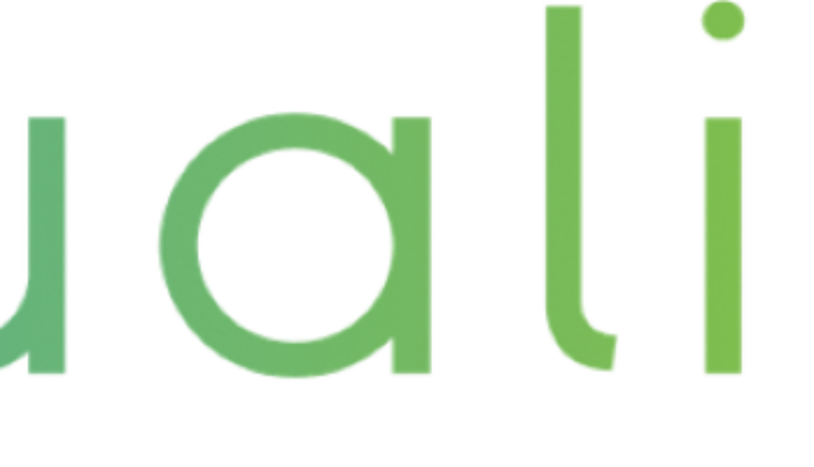 Qualivis logo NEW